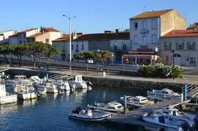a group of boats are docked in a harbor at l'Hotel du port in Port-la-Nouvelle