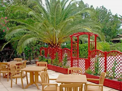 a patio with tables and chairs and a palm tree at La Vadrouille in Sigean