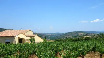 a house in the middle of a field of grapes at Gîte Vigneron du Domaine d'Alon in Magrie