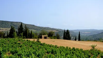a field with a house on top of a hill at Gîte Vigneron du Domaine d'Alon in Magrie