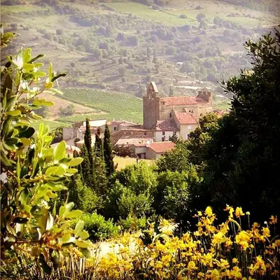 a small village on a hill with yellow flowers at Gîte Vigneron du Domaine d'Alon in Magrie