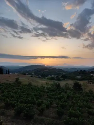 a sunset over a field with the sun setting in the distance at Gîte Vigneron du Domaine d'Alon in Magrie