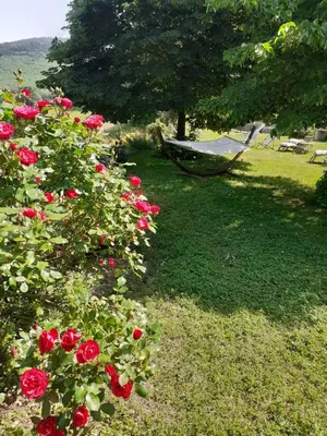 a hammock in a yard with roses and a tree at Nabat le Haut, chambre et table d'hotes in Courniou