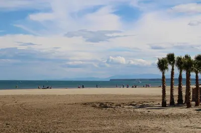 a group of palm trees on a sandy beach at Gites de France Bleu à la mer in Port-la-Nouvelle