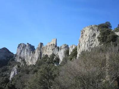 a mountain with trees in front of a blue sky at Hotel Moderne Et Pigeon in Limoux