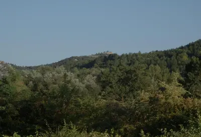 a mountain covered in trees with a blue sky at The Railway Cottage at Montazels in Espéraza