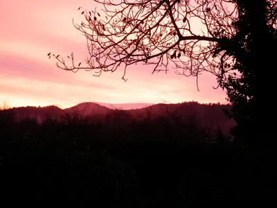 a silhouette of a tree with the sunset in the background at The Railway Cottage at Montazels in Espéraza