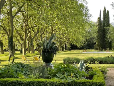 a garden with a plant in a pot in a park at La Suite de la Bastide in Val-de-Dagne