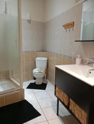 a bathroom with a toilet and a sink at La Maison des Vendangeurs à Puisserguier in Puisserguier