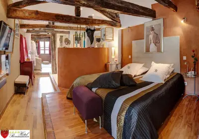 a bedroom with a large bed in a room at Hôtel Renaissance in Castres