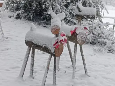 two parking meters covered in snow in a yard at Gîte rural, relais équestre Le Tulipier in Pradelles-Cabardès
