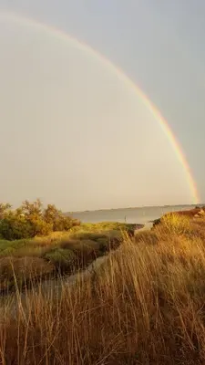 a rainbow in the sky over a field at Appartement Le Flamant Rose in Port-la-Nouvelle