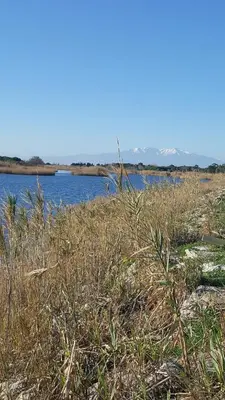 a field of grass next to a body of water at Appartement Le Flamant Rose in Port-la-Nouvelle