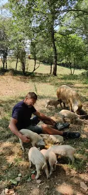 a man sitting on the ground with a group of animals at Fount de Cousteno in Limbrassac