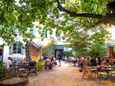 a group of people sitting at tables under a tree at Contact Hôtel Le Minervois - Hôtel & Restaurant Au nord de Carcassonne in Caunes-Minervois