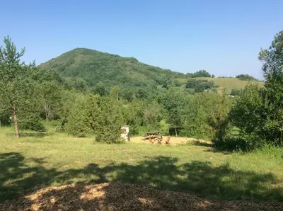 a field with trees and a mountain in the background at Camping des vignes in Dun