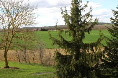 a tree with leaves on it in a field at La Maison du Soleil in Saint-Gaudéric