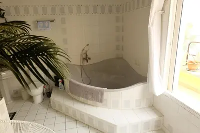 a bath tub in a bathroom with a potted plant at B&B Le Patio En Ville - Chambres d'hôtes in Narbonne