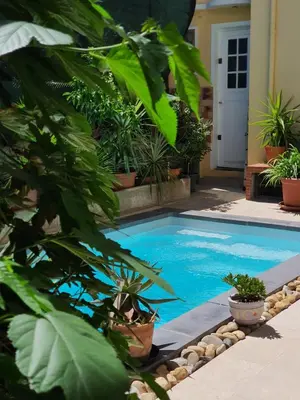 a swimming pool with plants in front of a house at B&B Le Patio En Ville - Chambres d'hôtes in Narbonne