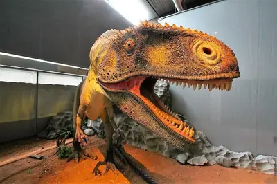 a dinosaur head on a wall with its mouth open at Gite CATHARE en OCCITANIE in Espéraza