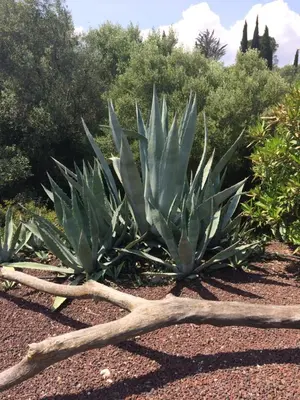 an aguanauanauanauanauanauanauanauanauanauanauanauanauanauana at La Poussada, maisons écologiques avec vue mer in Lapalme