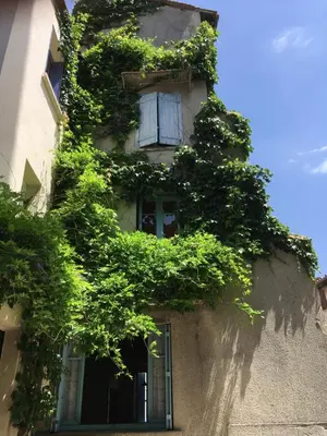 a building with ivy growing on the side of it at Entre l'église et la place in Quillan