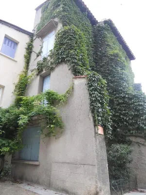 a building with ivy growing on the side of it at Entre l'église et la place in Quillan