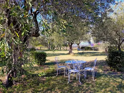 a table and chairs under a tree in a field at location Silvis dans la propriété Elaia in Tourouzelle