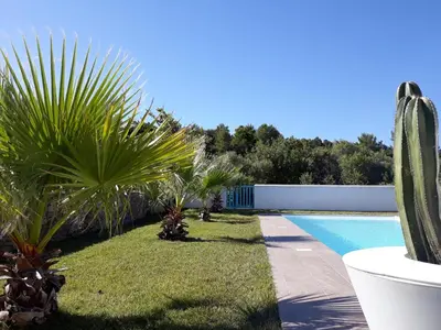 a backyard with a pool and some plants and a cactus at location Silvis dans la propriété Elaia in Tourouzelle