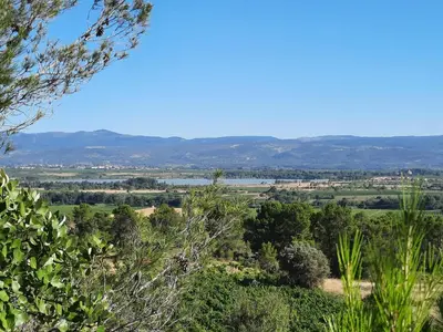 a view from the top of a hill with trees at location Silvis dans la propriété Elaia in Tourouzelle