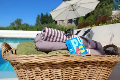 a basket with towels and an umbrella next to a pool at Le Petit Cinq in Brézilhac