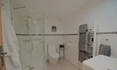 a bathroom with a glass shower and a toilet at Le Petit Cinq in Brézilhac