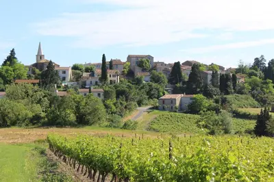 a village on a hill with a vineyard at Le Petit Cinq in Brézilhac