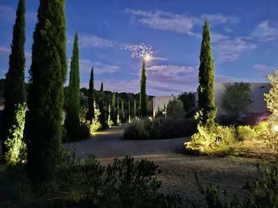 a row of cypress trees in a yard at night at location Phoebé dans la propriété Elaia in Tourouzelle