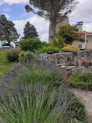 a garden with purple flowers and a stone wall at La Bleuette in Montmaur
