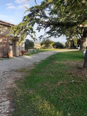 an empty road next to a house with a tree at La Bleuette in Montmaur