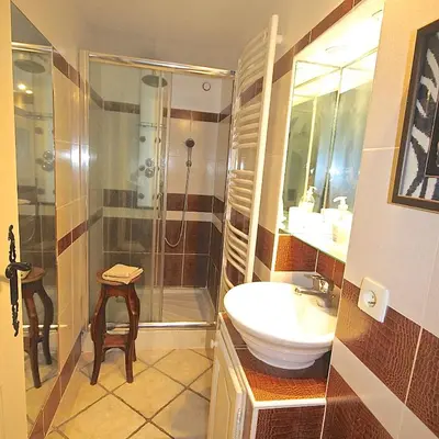 a bathroom with a shower and a sink and a toilet at Gîte des Orgues d'Ille les Eucalyptus in Ille-sur-Têt