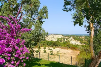a view of a hill with pink flowers and trees at Gîte des Orgues d'Ille les Agaves Canigou in Ille-sur-Têt