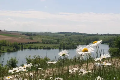 a field of daisies in front of a lake at Logis Hôtel - Auberge du Pastel - Hôtel 3 étoiles et Restaurant in Nailloux