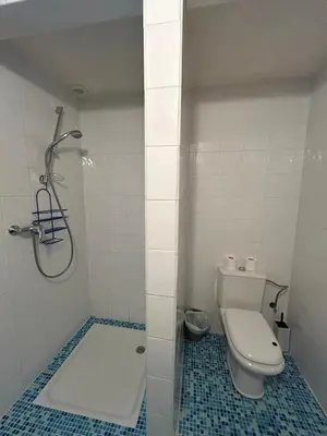 a small bathroom with a toilet and a shower at Domaine Les Salices in Azille