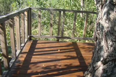 a wooden bridge with a tree on it at l'Oulibo in Villeneuve-les-Corbières