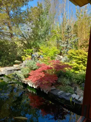 a garden with colorful plants and a pond at l'Oulibo in Villeneuve-les-Corbières