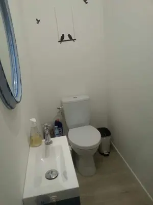 a bathroom with a white toilet and a sink at Gîte de Marie in Burlats