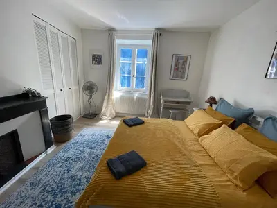 a bedroom with a large bed and a fireplace at la maison des chapeliers in Carcassonne