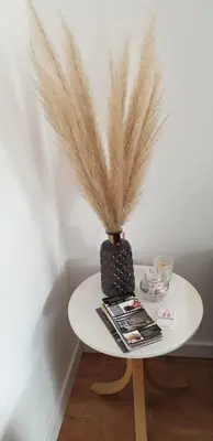 a table with a vase and a magazine on it at Gîtes Les 3 Tours 2 in Carcassonne