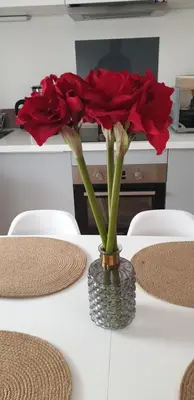 a vase filled with red roses sitting on a table at Gîtes Les 3 Tours 2 in Carcassonne