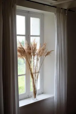 a vase filled with dry grass sitting on a window sill at Maison vigneronne in Montlaur