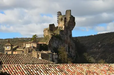 a castle on top of a hill with roofs at Gîte Wistéria in Mazamet