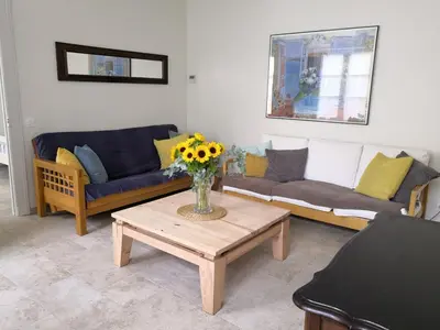a living room with two couches and a vase of flowers on a table at Gîte Wistéria in Mazamet