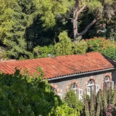 Gîte Wistéria